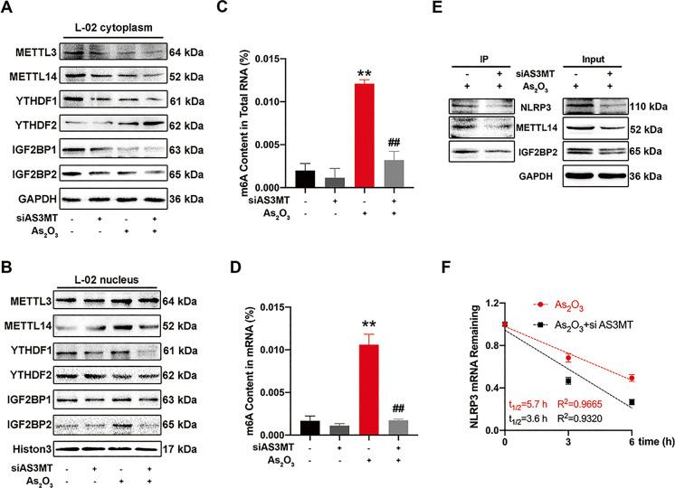 https://cdn.ncbi.nlm.nih.gov/pmc/blobs/1c1f/8882720/6db4c80ec823/10565_2022_9703_Fig5_HTML.jpg