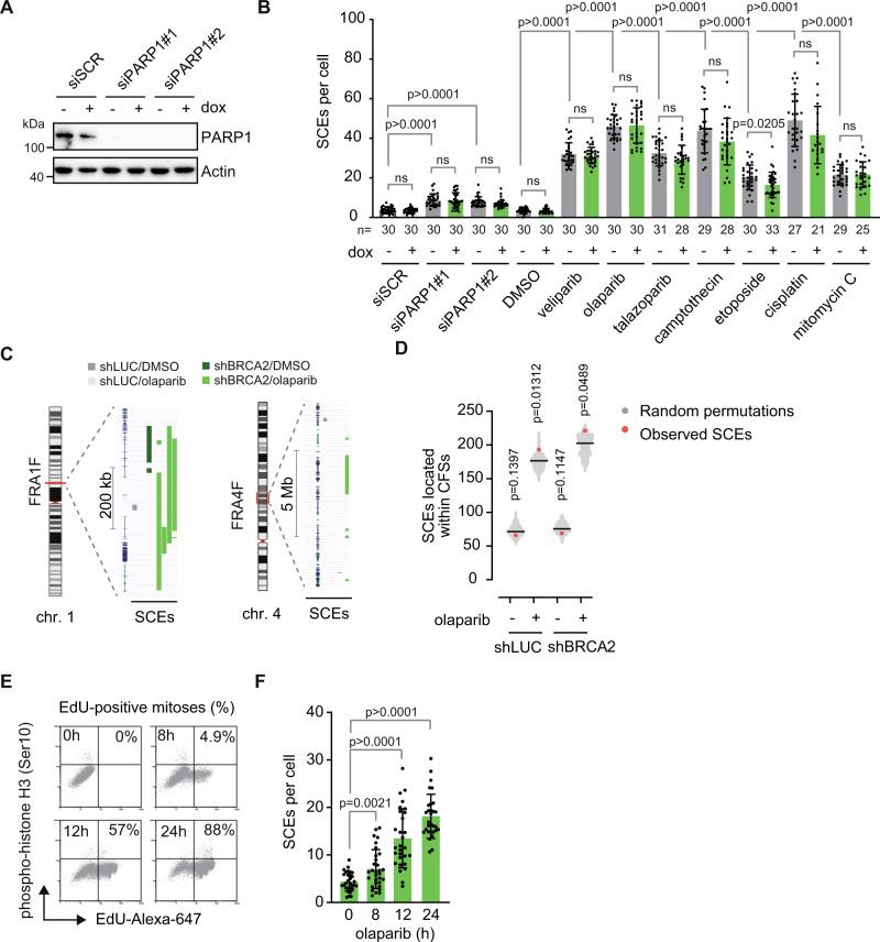 https://cdn.ncbi.nlm.nih.gov/pmc/blobs/1c1f/9640580/05a24a0ae7d2/41467_2022_34519_Fig3_HTML.jpg