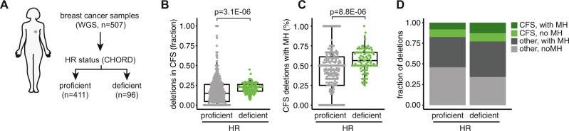 https://cdn.ncbi.nlm.nih.gov/pmc/blobs/1c1f/9640580/608b20825eef/41467_2022_34519_Fig6_HTML.jpg