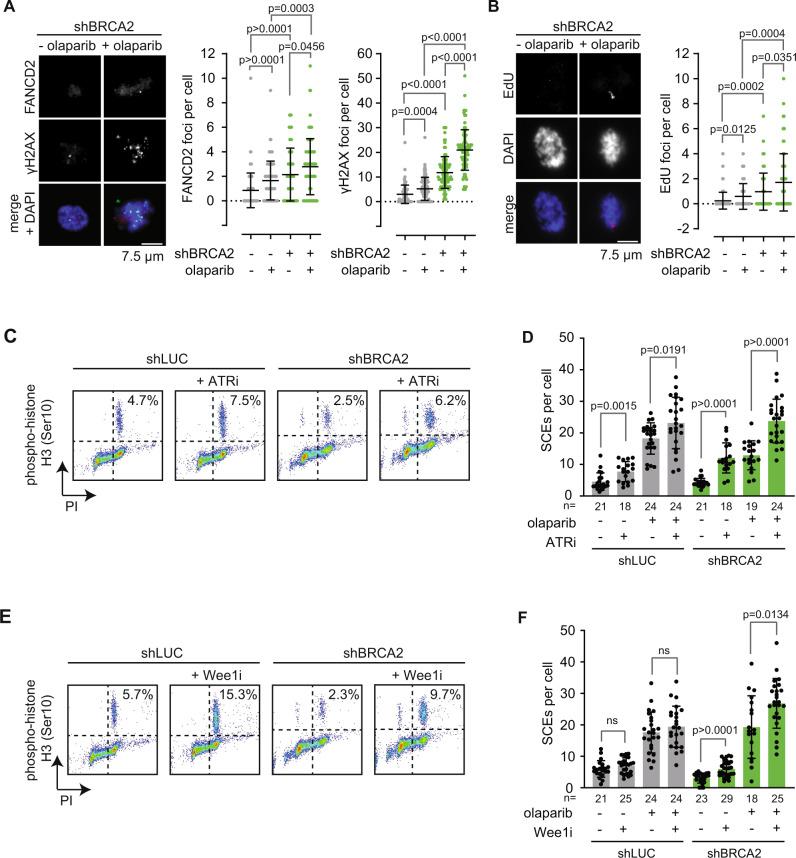 https://cdn.ncbi.nlm.nih.gov/pmc/blobs/1c1f/9640580/eacc9898e3a2/41467_2022_34519_Fig4_HTML.jpg
