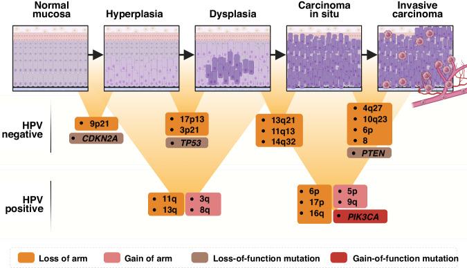 https://cdn.ncbi.nlm.nih.gov/pmc/blobs/1c22/11263586/d6d8b107f790/41416_2024_2655_Fig2_HTML.jpg