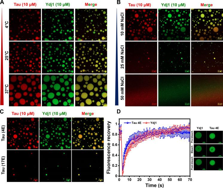 https://cdn.ncbi.nlm.nih.gov/pmc/blobs/1c23/12143394/a1f59317be1e/sciadv.ads1241-f2.jpg