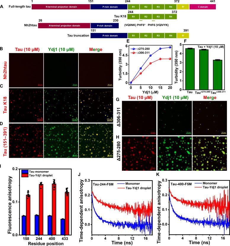 https://cdn.ncbi.nlm.nih.gov/pmc/blobs/1c23/12143394/e1ad57eb9457/sciadv.ads1241-f3.jpg