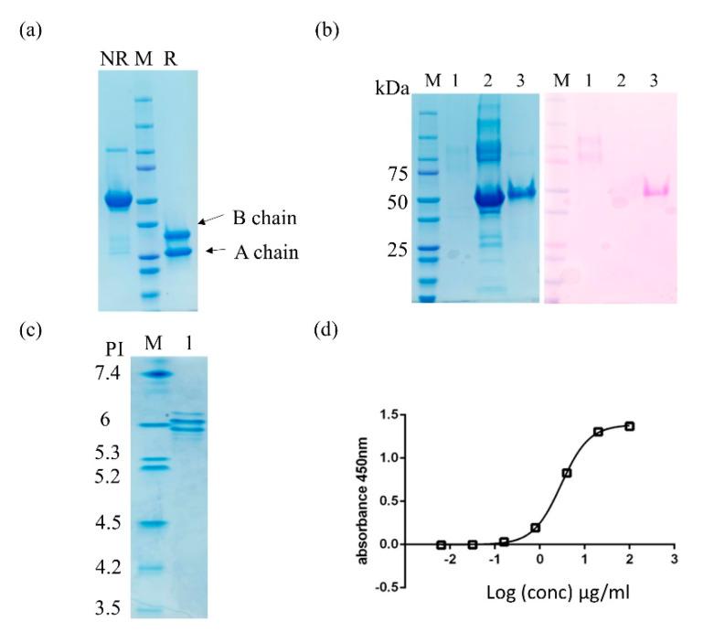 https://cdn.ncbi.nlm.nih.gov/pmc/blobs/1c23/7321061/38384066593f/molecules-25-02562-g003.jpg