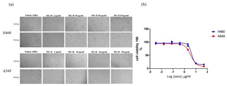 https://cdn.ncbi.nlm.nih.gov/pmc/blobs/1c23/7321061/59bbe9c715e2/molecules-25-02562-g004.jpg
