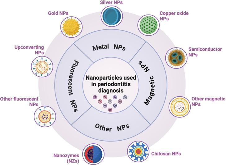 https://cdn.ncbi.nlm.nih.gov/pmc/blobs/1c26/11564189/8ce6b6756bfa/fcimb-14-1494651-g005.jpg