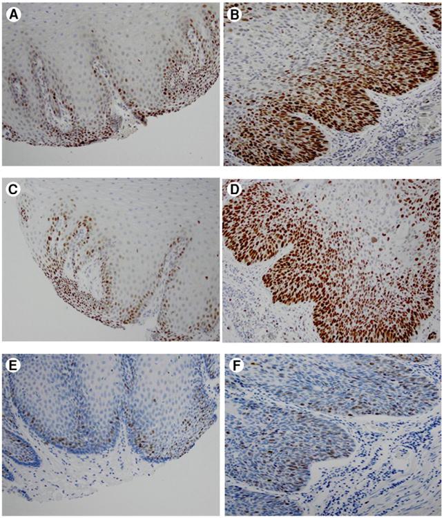 https://cdn.ncbi.nlm.nih.gov/pmc/blobs/1c26/5250507/78bdf58bf70d/nihms841499f4.jpg