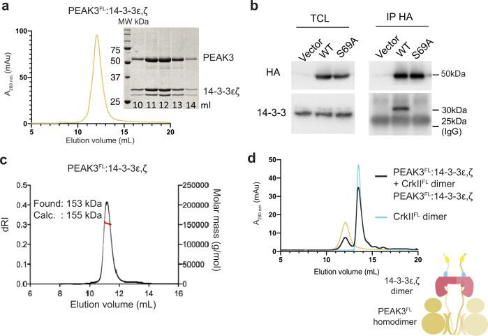 https://cdn.ncbi.nlm.nih.gov/pmc/blobs/1c27/10279719/bf8f75106727/41467_2023_38869_Fig4_HTML.jpg