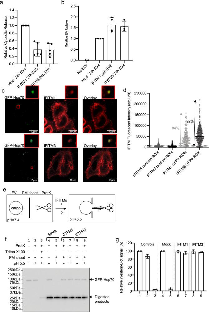 https://cdn.ncbi.nlm.nih.gov/pmc/blobs/1c28/7994380/011e51cabc28/41467_2021_22126_Fig5_HTML.jpg