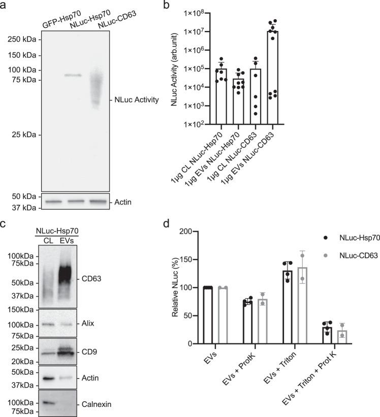 https://cdn.ncbi.nlm.nih.gov/pmc/blobs/1c28/7994380/57881a740b0f/41467_2021_22126_Fig1_HTML.jpg