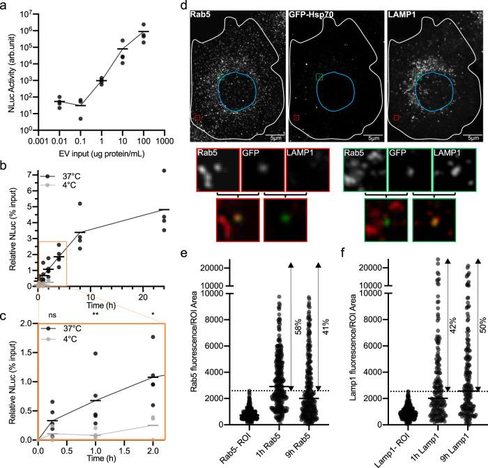 https://cdn.ncbi.nlm.nih.gov/pmc/blobs/1c28/7994380/5b0f7501b3f3/41467_2021_22126_Fig2_HTML.jpg