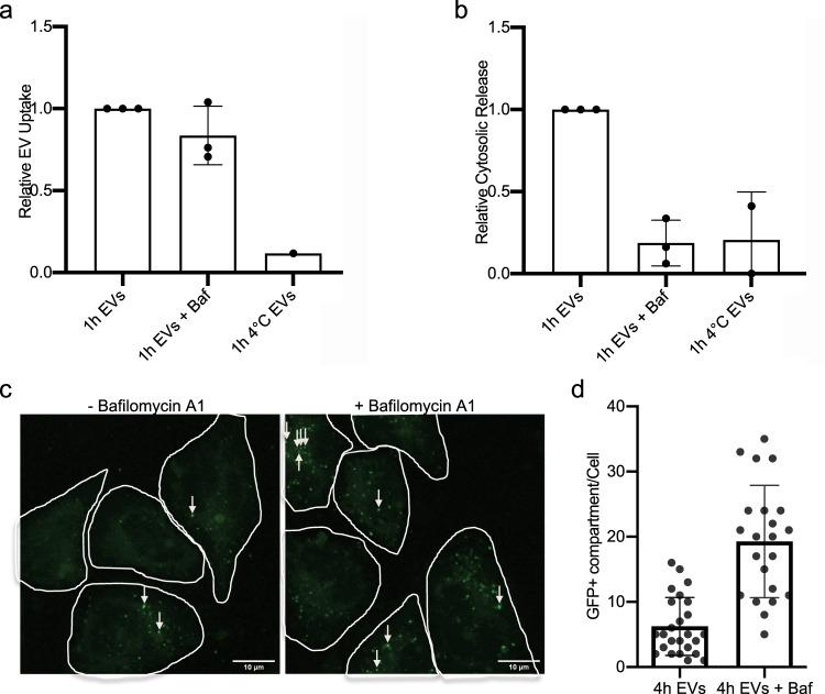 https://cdn.ncbi.nlm.nih.gov/pmc/blobs/1c28/7994380/c1fa3cc09c87/41467_2021_22126_Fig4_HTML.jpg