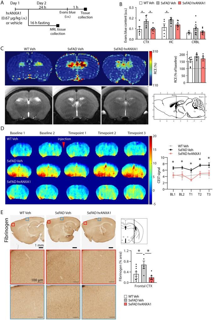https://cdn.ncbi.nlm.nih.gov/pmc/blobs/1c2a/8262982/94849788ebb0/awab050f1.jpg