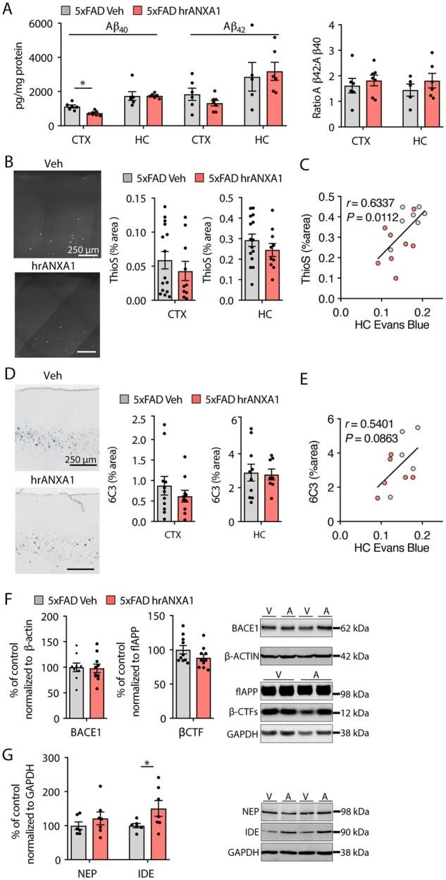 https://cdn.ncbi.nlm.nih.gov/pmc/blobs/1c2a/8262982/aa93fb969e65/awab050f4.jpg