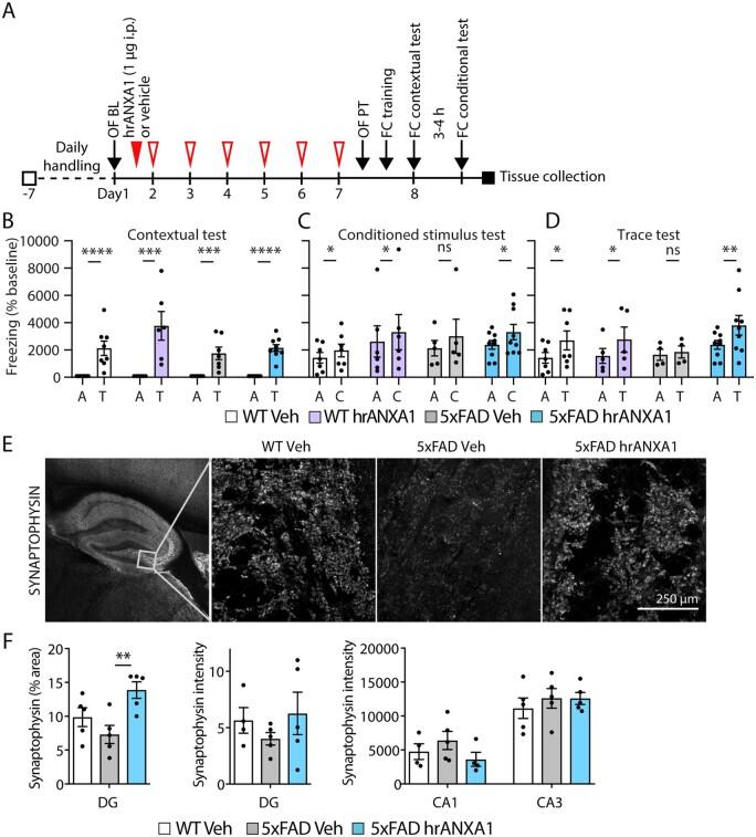 https://cdn.ncbi.nlm.nih.gov/pmc/blobs/1c2a/8262982/afa64cabc802/awab050f6.jpg