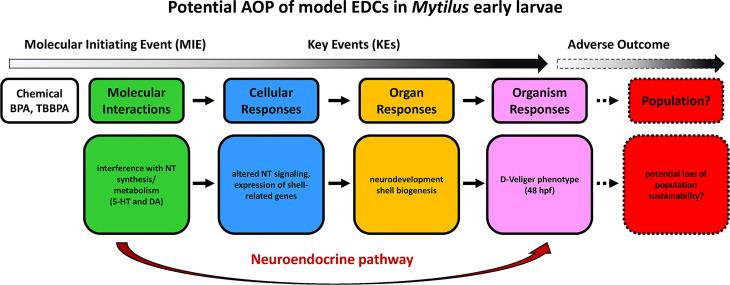 https://cdn.ncbi.nlm.nih.gov/pmc/blobs/1c2a/8913902/5951b1407e63/fendo-13-792589-g003.jpg