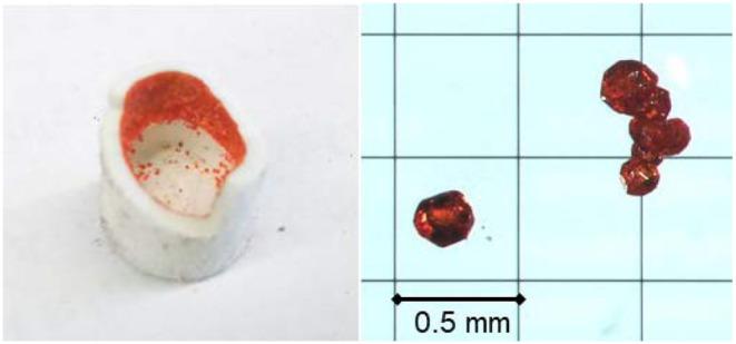 https://cdn.ncbi.nlm.nih.gov/pmc/blobs/1c2c/7039934/203f03326436/fchem-08-00091-g0002.jpg
