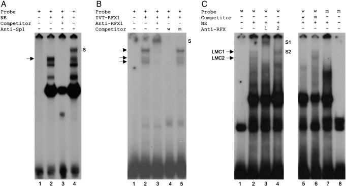 https://cdn.ncbi.nlm.nih.gov/pmc/blobs/1c2d/2913254/9e4ec825bdfe/gr4.jpg