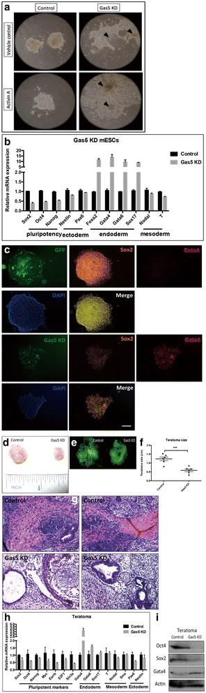 https://cdn.ncbi.nlm.nih.gov/pmc/blobs/1c30/5863440/122a11443e1a/13287_2018_813_Fig3_HTML.jpg