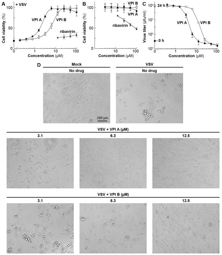 https://cdn.ncbi.nlm.nih.gov/pmc/blobs/1c31/6783830/e0736e2eef32/viruses-11-00856-g002.jpg