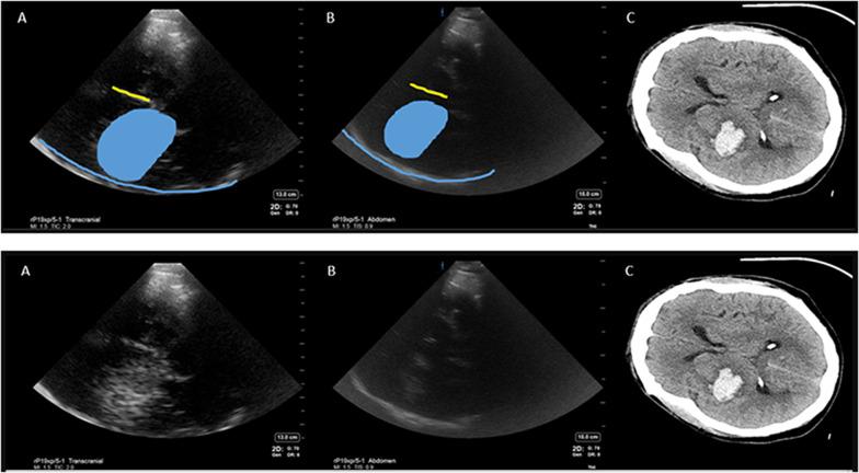 https://cdn.ncbi.nlm.nih.gov/pmc/blobs/1c33/9576831/f79229cb3cdb/13089_2022_289_Fig3_HTML.jpg