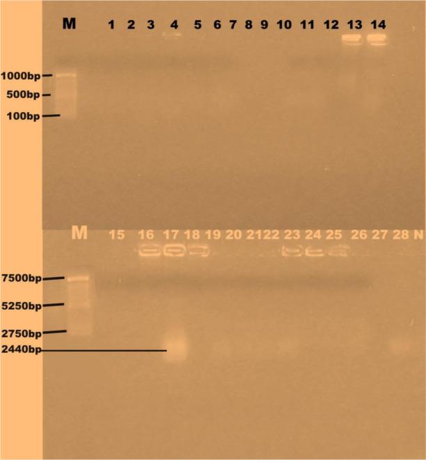 https://cdn.ncbi.nlm.nih.gov/pmc/blobs/1c35/10462460/449d523171b2/microbiol-09-03-021-g001.jpg