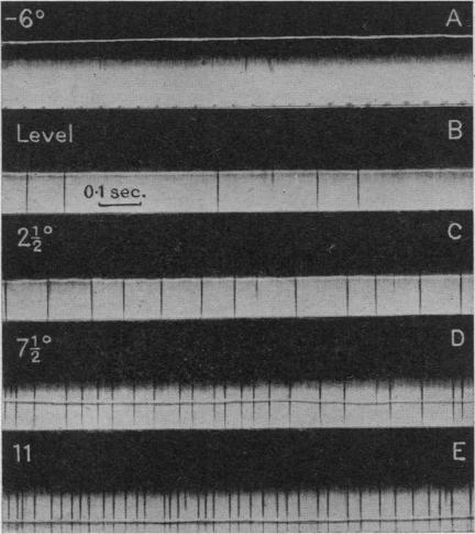 https://cdn.ncbi.nlm.nih.gov/pmc/blobs/1c38/1393480/fa2877bd5983/jphysiol01513-0019-a.jpg