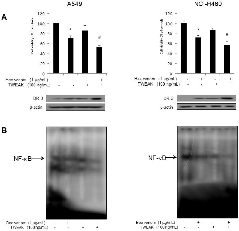 https://cdn.ncbi.nlm.nih.gov/pmc/blobs/1c38/4147578/1e6b79c27194/toxins-06-02210-g006.jpg