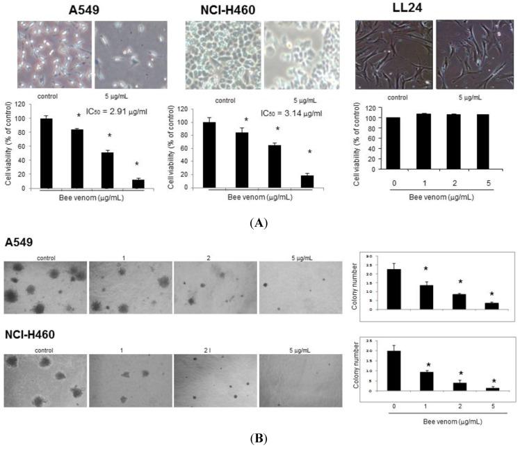 https://cdn.ncbi.nlm.nih.gov/pmc/blobs/1c38/4147578/72216754723f/toxins-06-02210-g001.jpg