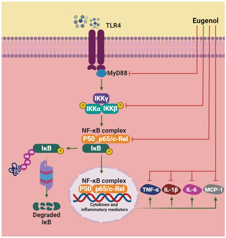 https://cdn.ncbi.nlm.nih.gov/pmc/blobs/1c3a/11597765/e73bda1bd125/pharmaceuticals-17-01505-g002.jpg