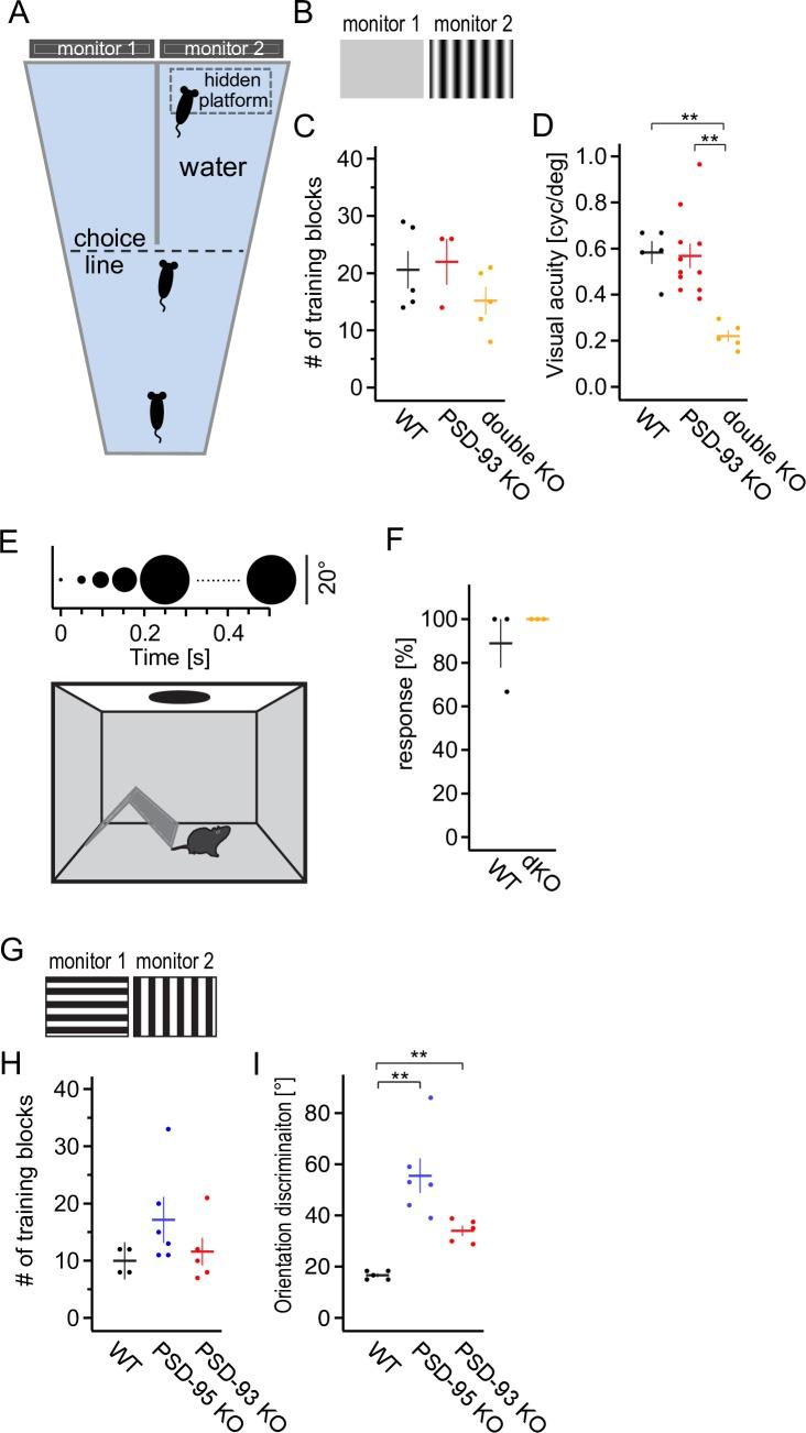 https://cdn.ncbi.nlm.nih.gov/pmc/blobs/1c3a/6324823/3a90a31b6a07/pbio.2006838.g008.jpg