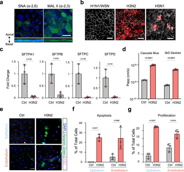 https://cdn.ncbi.nlm.nih.gov/pmc/blobs/1c3d/8993817/1f8e4ac1d394/41467_2022_29562_Fig2_HTML.jpg