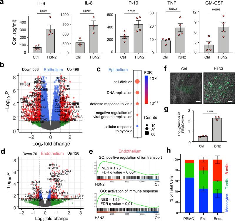 https://cdn.ncbi.nlm.nih.gov/pmc/blobs/1c3d/8993817/213a05f190ba/41467_2022_29562_Fig3_HTML.jpg