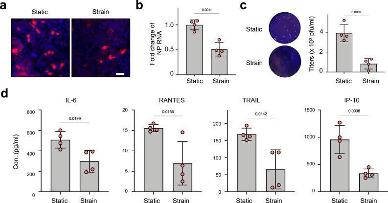 https://cdn.ncbi.nlm.nih.gov/pmc/blobs/1c3d/8993817/36cfcb46308e/41467_2022_29562_Fig4_HTML.jpg