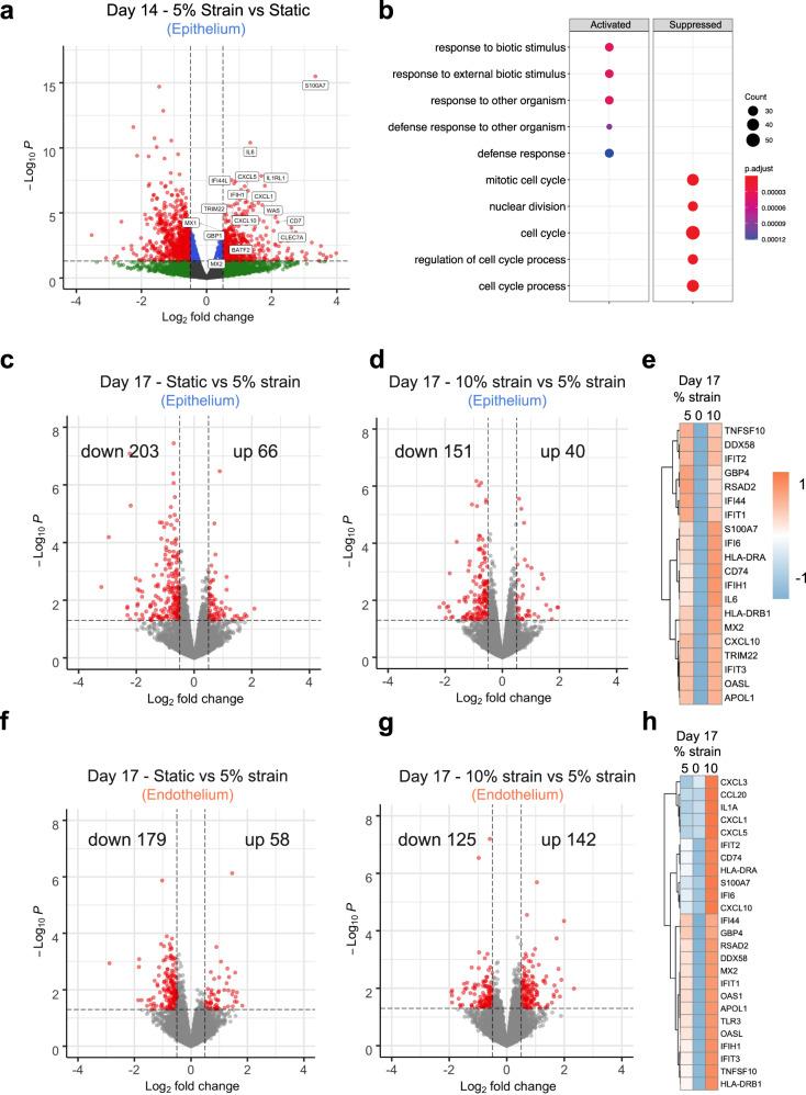 https://cdn.ncbi.nlm.nih.gov/pmc/blobs/1c3d/8993817/3abe77d0a356/41467_2022_29562_Fig5_HTML.jpg