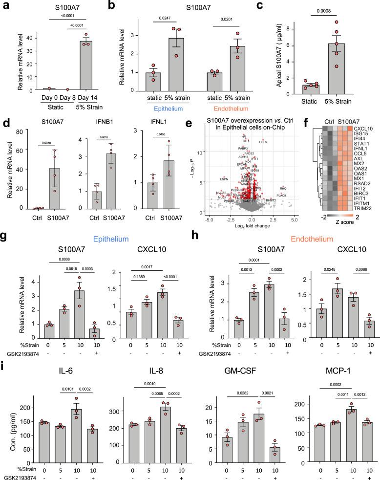 https://cdn.ncbi.nlm.nih.gov/pmc/blobs/1c3d/8993817/44da39e1ecda/41467_2022_29562_Fig6_HTML.jpg