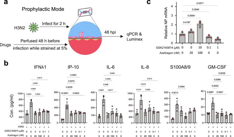 https://cdn.ncbi.nlm.nih.gov/pmc/blobs/1c3d/8993817/6d0a2a59fd45/41467_2022_29562_Fig7_HTML.jpg