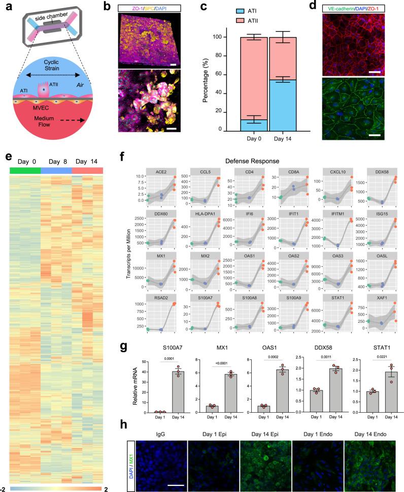 https://cdn.ncbi.nlm.nih.gov/pmc/blobs/1c3d/8993817/d957144b5224/41467_2022_29562_Fig1_HTML.jpg