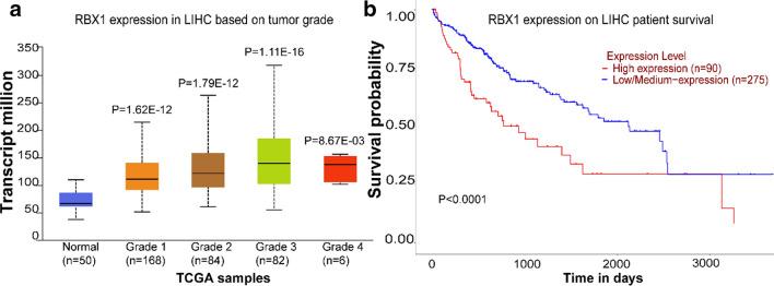 https://cdn.ncbi.nlm.nih.gov/pmc/blobs/1c40/8518243/e4577c9aabae/12951_2021_1063_Fig3_HTML.jpg