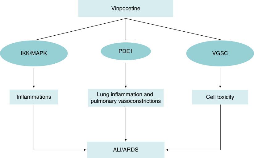 https://cdn.ncbi.nlm.nih.gov/pmc/blobs/1c40/9136630/179aa02eacef/fsoa-08-797-g2.jpg