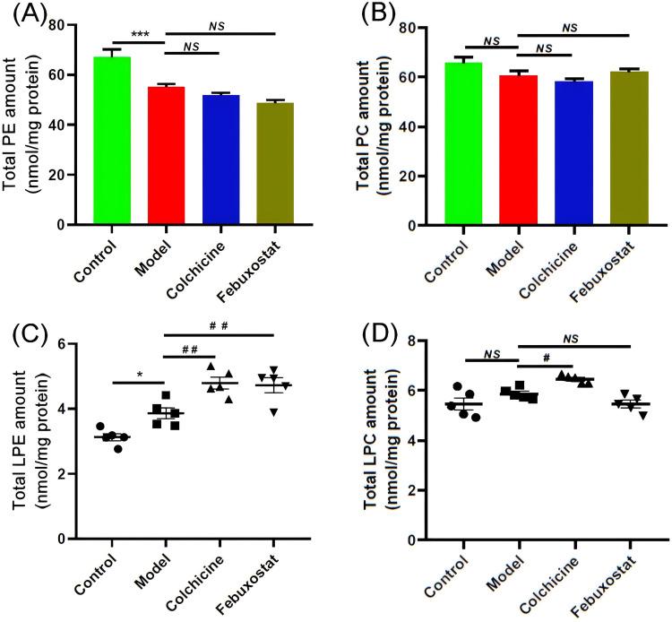 https://cdn.ncbi.nlm.nih.gov/pmc/blobs/1c41/11531286/cf06b2bb58a4/JIR-17-7913-g0006.jpg