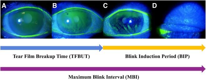 https://cdn.ncbi.nlm.nih.gov/pmc/blobs/1c43/6128834/e29769de4a0b/41598_2018_31814_Fig2_HTML.jpg