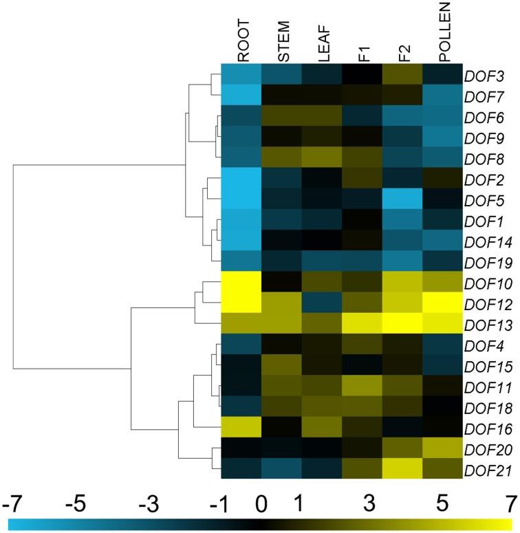 https://cdn.ncbi.nlm.nih.gov/pmc/blobs/1c44/4763086/1737d85a9f95/fpls-07-00199-g0004.jpg