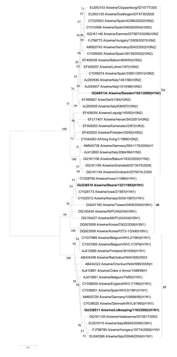 https://cdn.ncbi.nlm.nih.gov/pmc/blobs/1c45/3019120/d3f9e1817795/1751-0147-52-65-4.jpg