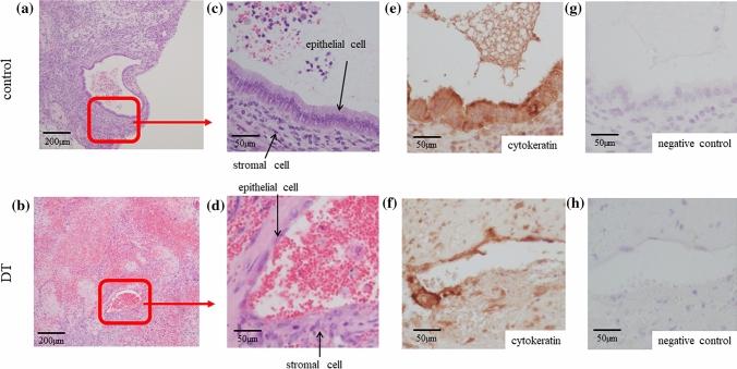 https://cdn.ncbi.nlm.nih.gov/pmc/blobs/1c48/7807007/83a6a399316e/41598_2020_79578_Fig3_HTML.jpg
