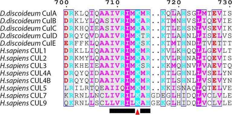 https://cdn.ncbi.nlm.nih.gov/pmc/blobs/1c48/9108976/54270fd1ed9f/fphys-13-827435-g004.jpg