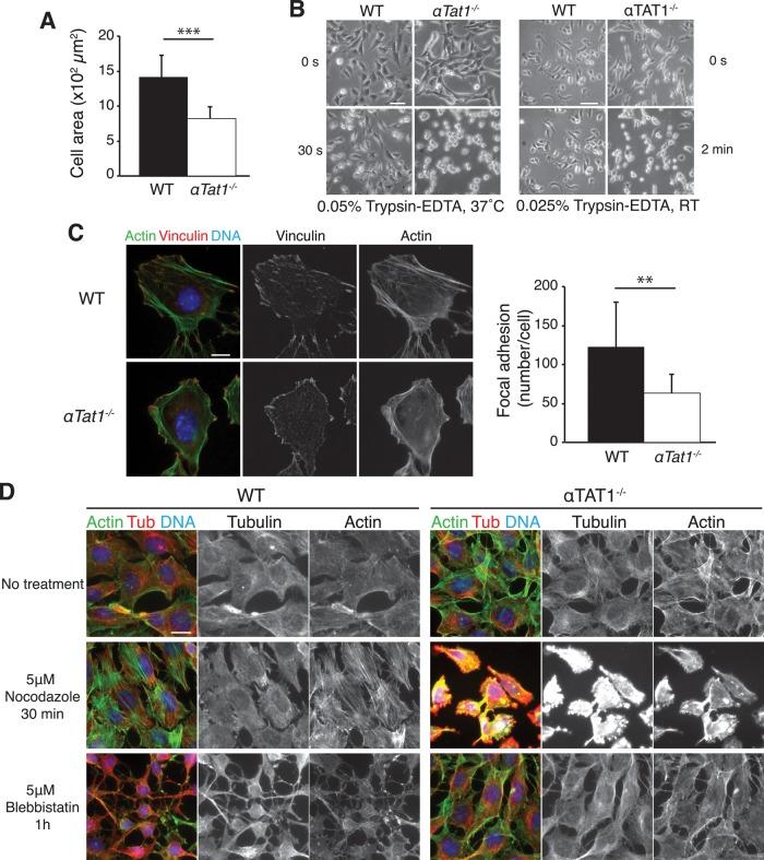 https://cdn.ncbi.nlm.nih.gov/pmc/blobs/1c49/4055265/78b172cdd629/1854fig4.jpg