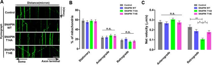 https://cdn.ncbi.nlm.nih.gov/pmc/blobs/1c49/9803678/1e3cdeb32fd5/41420_2022_1290_Fig4_HTML.jpg