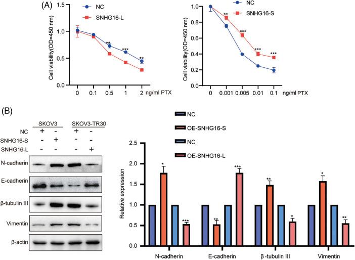 https://cdn.ncbi.nlm.nih.gov/pmc/blobs/1c4a/10208018/7be24e649ec8/OncolRes-29-3561-f003.jpg