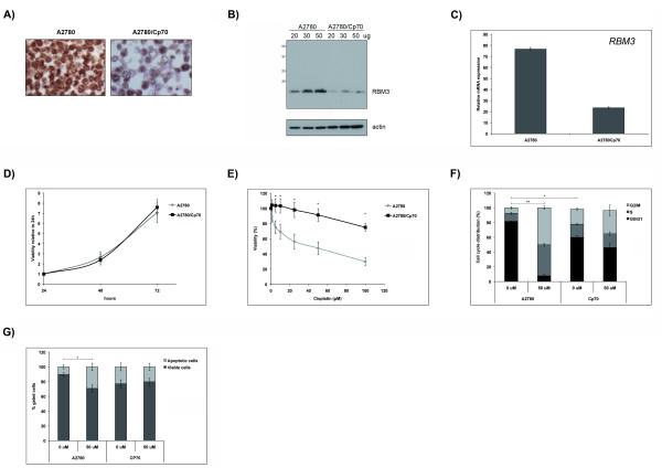 https://cdn.ncbi.nlm.nih.gov/pmc/blobs/1c4c/2936876/693708be6f26/1479-5876-8-78-3.jpg